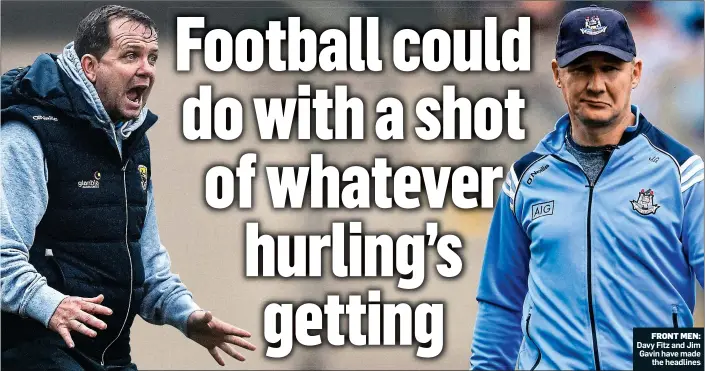  ??  ?? FRONT MEN: Davy Fitz and Jim Gavin have made the headlines