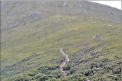  ??  ?? The Rois-Bheinn hydro track runs through mature woods and over a ridge.