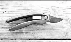  ?? Bypass secateurs ??