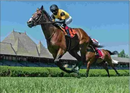  ?? BARBARA D. LIVINGSTON ?? Decorated Invader returns to the races for the first time since a fifth last November in the Hollywood Derby.