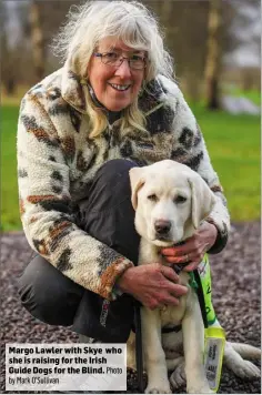  ?? ?? Margo Lawler with Skye who she is raising for the Irish Guide Dogs for the Blind. Photo by Mark O’Sullivan