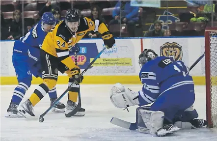  ?? ADRIAN LAM, TIMES COLONIST ?? Victoria Grizzlies’ Jack Gorton shoots on Penticton Vees’ Ryan Hopkins, left, and goaltender Hank Levy during their BCHL game at The Q Centre on Saturday night.