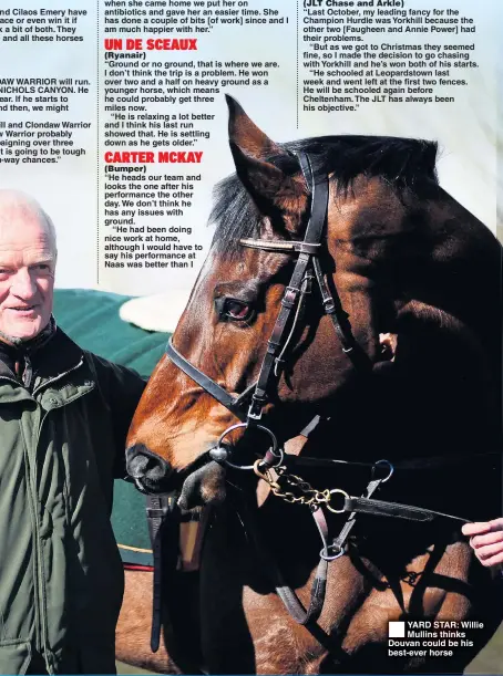  ??  ?? YARD STAR: Willie Mullins thinks Douvan could be his best-ever horse