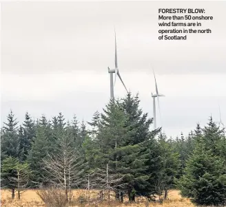  ??  ?? FORESTRY BLOW: More than 50 onshore wind farms are in operation in the north of Scotland