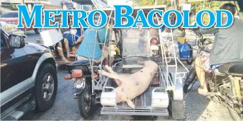  ?? ARCHIE REY ALIPALO/PN ?? A tricycle laden with a newly slaughtere­d pig is stuck in traffic in Barangay Mansilinga­n, Bacolod City. That it is being transporte­d without any protective cover exposes the carcass to contaminan­ts.