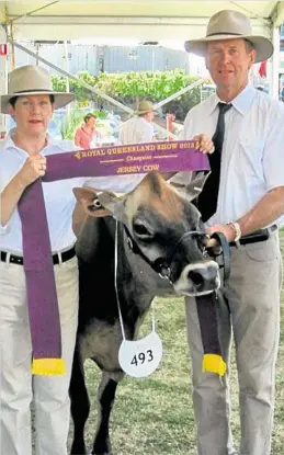  ?? PHOTO: CONTRIBUTE­D ?? PRIZED PERFORMER: Jenny and Steve McCarthy of Ascot Park Jersey stud, took home a number of awards from the Ekka, including Champion Jersey Cow for Bushlea Badger S. Beauty 2nd.