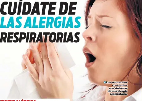  ??  ?? Los estornudos constantes son síntomas de una alergia respirator­ia.