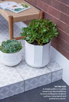  ??  ?? on the tiles A simple pa ern in subtle tones is an ideal backdrop to more striking decoration­s such as a cane bench and po ed succulents.