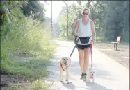  ??  ?? Melodie Hurley, who lives in Fayettevil­le off Wedington Drive, walks her dogs on the new walking trail at Creekside Park in Farmington. She said she uses the park frequently for exercise. Her dogs are Lily the yellow lab and Ivy the Westie. With the new trail addition, the park now has a combined 1.25mile public walking trail.