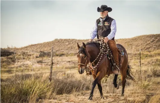  ??  ?? If you watch closely, the winner of most classes is the softest horse, meaning the one with the least amount of resistance. Soft transition­s will set you apart.