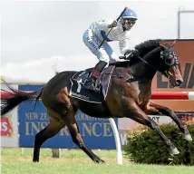  ?? TRISH DUNELL ?? Catalyst cruises to victory in the Hawke’s Bay Guineas last month and seeks win No 4 at Riccarton tomorrow in the prestigiou­s 2000 NZ Guineas.