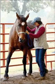  ?? JANELLE JESSEN ENTERPRISE-LEADER ?? Cindy Martin, owner of Mad Dog Ranch and certified clicker trainer, did a shoulder-in with her mare Scout. The advanced dressage movement is usually done with a rider on the horse’s back, and a bit and bridle. Martin is able to use clicker techniques...
