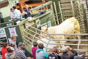  ??  ?? Bank of Ireland in conjunctio­n with Sligo Leader ‘ Farmestiva­l’ event at the Aurivo Mart in Ballymote, Co. Sligo. Photos: James Connolly