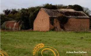  ??  ?? A classic Barn Owl barn