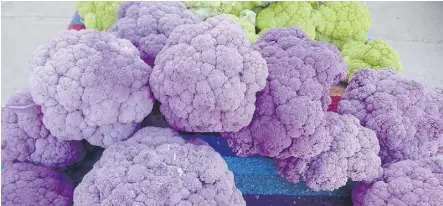  ??  ?? Coloured cauliflowe­r is among the array of foods for sale at the farmers’ market at the Santa Fe Railyard.