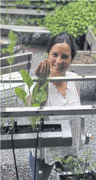  ?? Foto: daniel jayo ?? Juliana muestra la huerta de su Estudio de Cocina, en Tigre