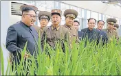  ?? AFP/KCNA VIA KNS ?? North Korean leader Kim JongUn visits a farm run by a unit of the Korean People's Army at an undisclose­d location.