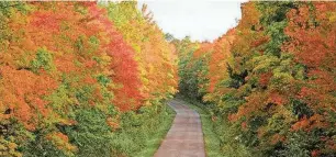  ?? PROVIDED BY GARY JACKSON ?? Trees are decked out in vivid color near the Porcupine Mountains in the Upper Peninsula during a previous autumn.