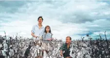  ?? ?? Karin Stark, nine-year-old Noa Elder and Jon Elder in their cotton crop near Narromine, NSW. Picture: Clancy Paine