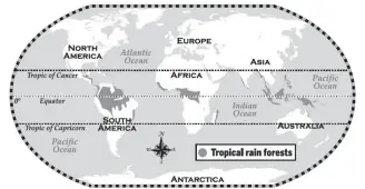  ??  ?? Climate and conditions in the Tropical zone