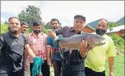  ?? HT FILE PHOTO ?? Brown and rainbow trouts are cold water fish introduced in Kashmir over 100 years ago.