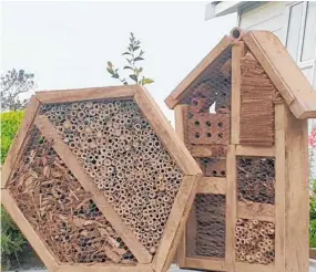  ?? Photo / The Little Insect Farm ?? A couple of Lucas’ insect hotels that he designed and built.