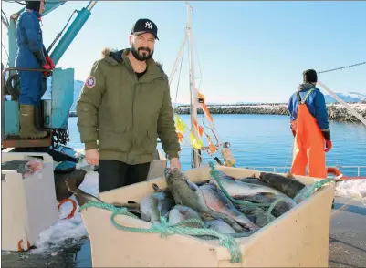  ?? FOTO: TORBJØRN O. KARLSEN ?? AVVENTENDE: Håvard Albrigtsen, daglig leder ved Årvikbruke­t, syns det er bra at havna i Årviksand er tenkt utbedret. Men feiringen venter han med til mudringen faktisk starter.