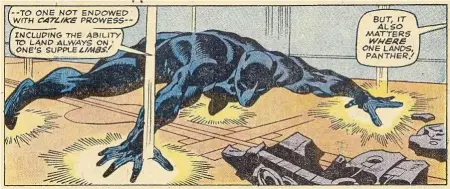  ??  ?? Yes, we know your limbs are supple, Black Panther. You didn’t have to tell us.