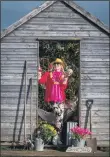  ??  ?? Fiona Fisk, floral pavilion co-ordinator for Harrogate Flower Show, in a ‘Secret Shed’