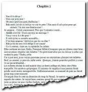  ??  ?? Insieme In alto Emilie, 17 anni, con il suo cane in una foto pubblicata da La Voix du Nord. Qui sopra il primo capitolo del suo diario segreto scritto sul pc