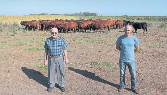  ??  ?? Sociedad. Carlos y Mariano Buzeta, padre e hijo, junto a un lote de vacas de segunda preñez en el establecim­iento El Recreo, en la principal región ganadera del país.