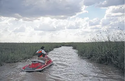  ?? SANTIAGO FILIPUZZI ?? Nuevas islas en la confluenci­a de los ríos Luján y San Antonio