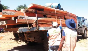  ?? NICOLAU VASCO | EDIÇÕES NOVEMBRO ?? A actividade dos inspectore­s do Instituto de Desenvolvi­mento Florestal tem surtido efeito