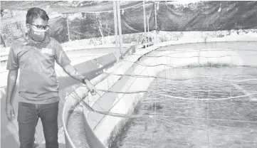  ?? — Gambar Bernama ?? PENGUSAHA UDANG GALAH: Giva menunjukka­n kolam penternaka­n miliknya di Bukit Pelandok ketika ditemui di Port Dickson baru-baru ini.