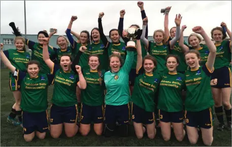  ??  ?? Coláiste Bríde celebrate after winning the Senior ‘A’ Leinster title.