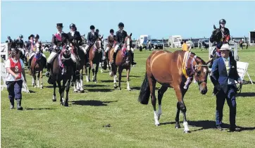  ?? PHOTO: SALLY BROOKER ?? Equestrian ensemble . . . The horses stride out in the 2017 Grand Parade.