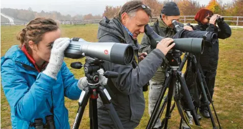  ?? Foto: Andreas Lode ?? Auf dem Müllberg bei Gersthofen zählen und dokumentie­ren Mitglieder des Naturwisse­nschaftlic­hen Vereins die Zugvögel auf ihrem Weg nach Süden: (von links) Rebecca Müller, Robert Kugler, Helmut Saumweber und Gerdi Kailing.