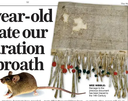  ??  ?? WEE NIBBLE: Damage to the precious document has been traced to the 14th Century