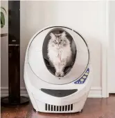  ??  ?? Litter Robot’s automatic litter box was designed to free cat owners from cleaning duties. — Ti Gong