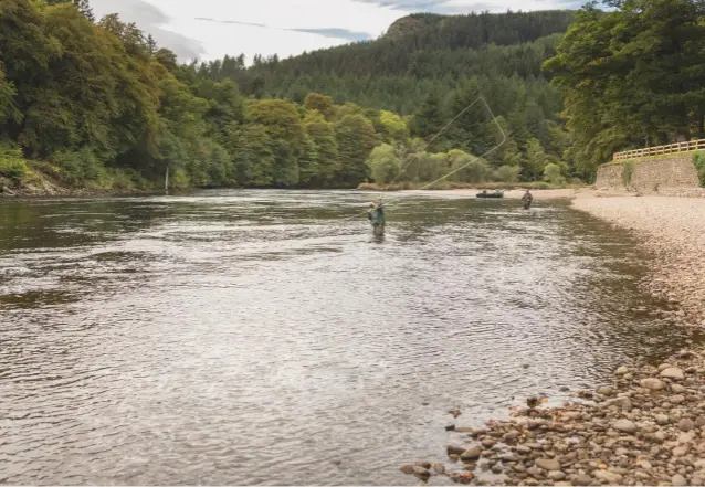  ??  ?? Casting on the Tay; rods must be able to adjust line or fly quickly to reflect rapidly changing conditions