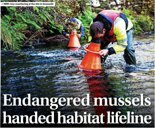  ?? NATURAL RESOURCES WALES ?? > NRW river monitoring at the site in Gwynedd