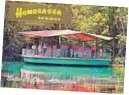  ??  ?? Recognizin­g its long-standing selling point, the “new” Homosassa Springs continued to emphasize the underwater observator­y, an updated version of the attraction’s original feature.