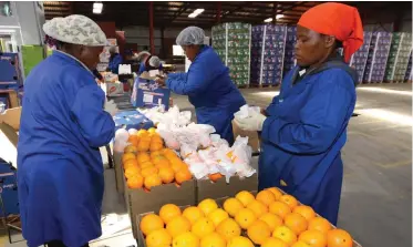  ?? | SIMPHIWE MBOKAZI ?? THE success of black citrus growers is testament to the ground work laid over the last decade.