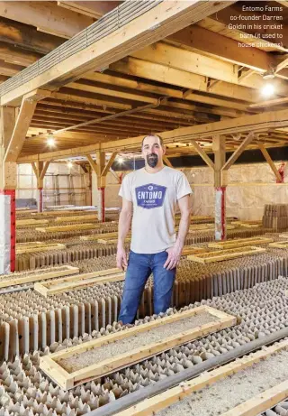  ??  ?? Entomo Farms co-founder Darren Goldin in his cricket barn (it used to house chickens)