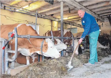  ?? FOTOS: ELKE OBERLÄNDER ?? Landwirt aus Leidenscha­ft: Longinus Lang liebt seine Tiere und legt Wert darauf, dass es ihnen gut geht.