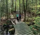  ?? JERRY MONKMAN/PROVIDED BY TRUST FOR PUBLIC LAND ?? A community forest with public trails is the goal of a joint project by Exeter, Newfields, and two conservati­on groups to acquire 148 acres of private land.