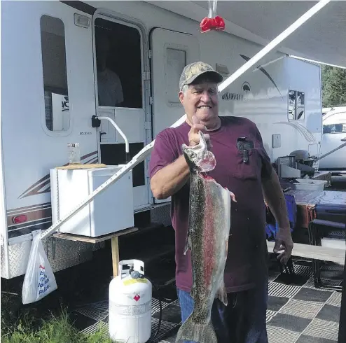  ?? SUPPLIED BY RON LANCOUR ?? Ron Lancour, the B.C. man who fended off the badger attack in his boat, shows off a 3.5-kg rainbow trout he caught in Sheridan Lake this week. Lancour knew badgers are classified as endangered in B.C.