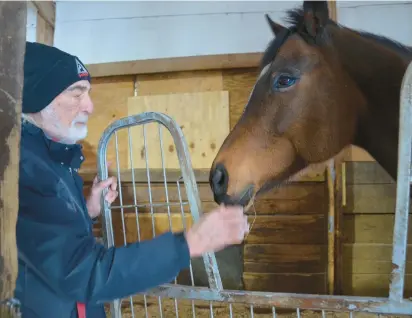  ?? MICHELLE MULLINS/DAILY SOUTHTOWN ?? Art Karman pets Pregunta, a retired thoroughbr­ed polo pony whose temperamen­t makes her a favorite of the therapy participan­ts.