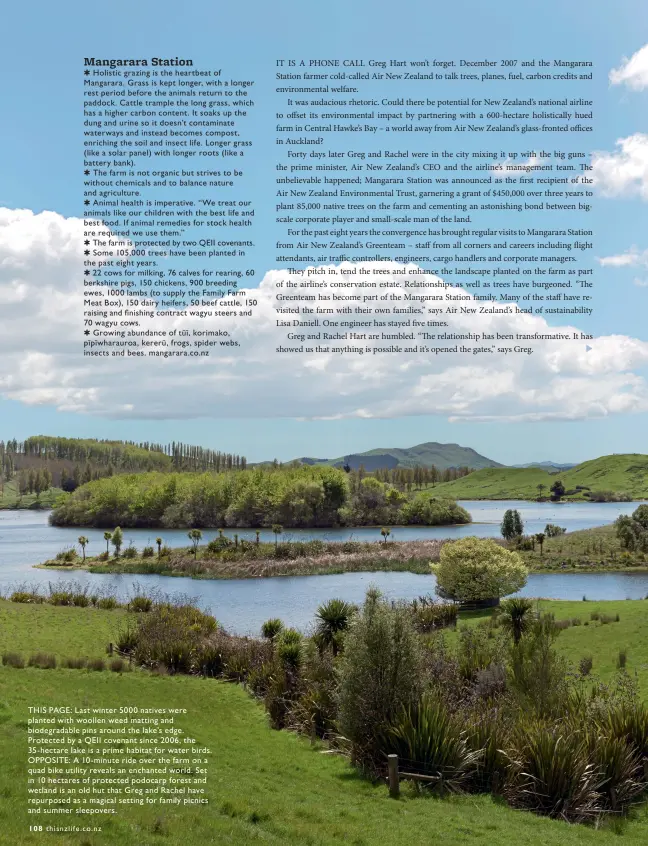  ??  ?? THIS PAGE: Last winter 5000 natives were planted with woollen weed matting and biodegrada­ble pins around the lake’s edge. Protected by a QEII covenant since 2006, the 35- hectare lake is a prime habitat for water birds. OPPOSITE: A 10- minute ride over the farm on a quad bike utility reveals an enchanted world. Set in 10 hectares of protected podocarp forest and wetland is an old hut that Greg and Rachel have repurposed as a magical setting for family picnics and summer sleepovers.