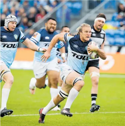  ?? Photo / Michael Cunningham ?? Barnstormi­ng No 8 Matt Matich on the charge for Northland against Hawke’s Bay at Okara Park in an earlier match.